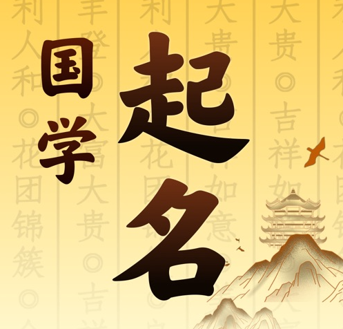 文安国学起名 人工起名一对一